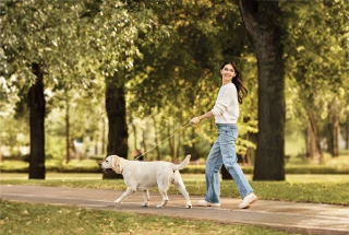 Pet Zone